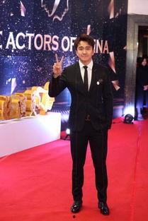 2017演员颁奖典礼,星光熠熠，荣誉加冕